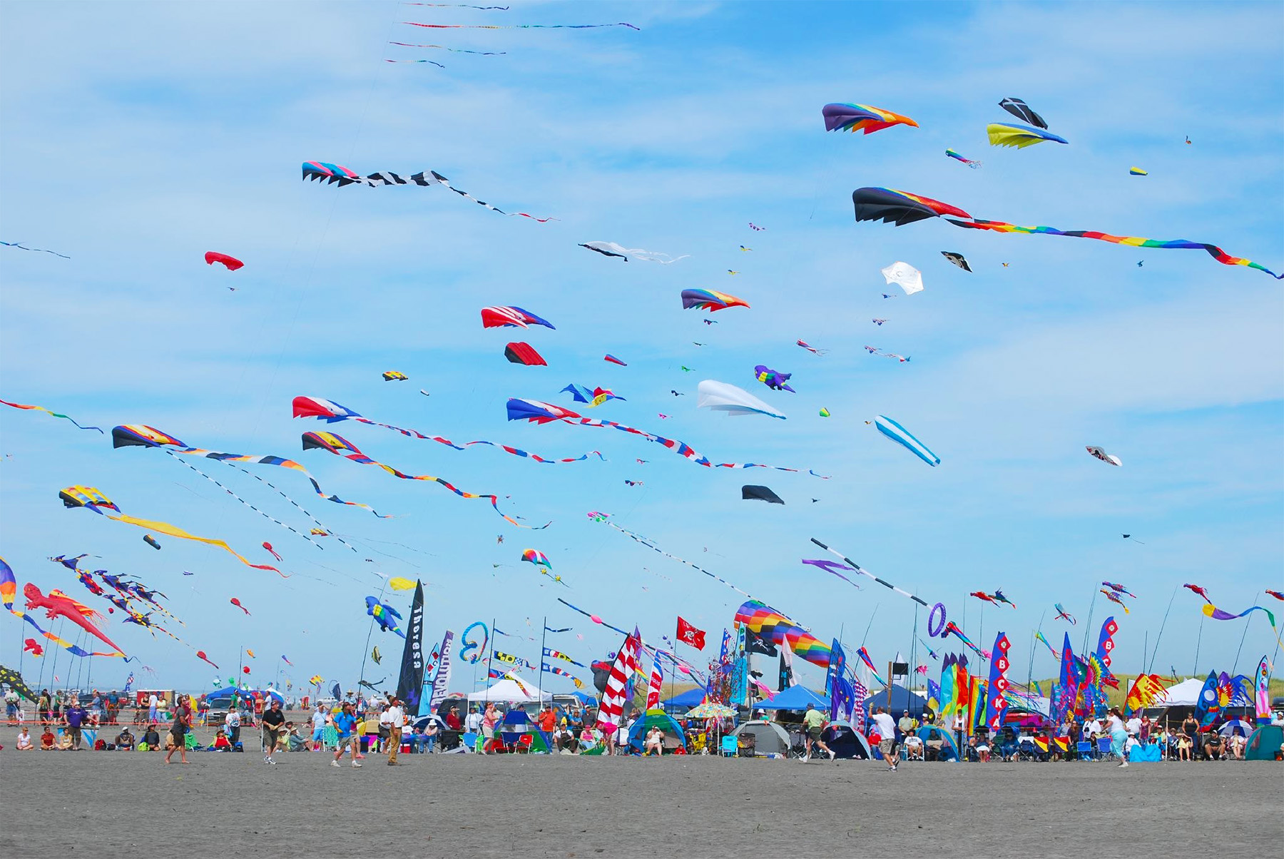 Fort Walton Beach Festivals kites